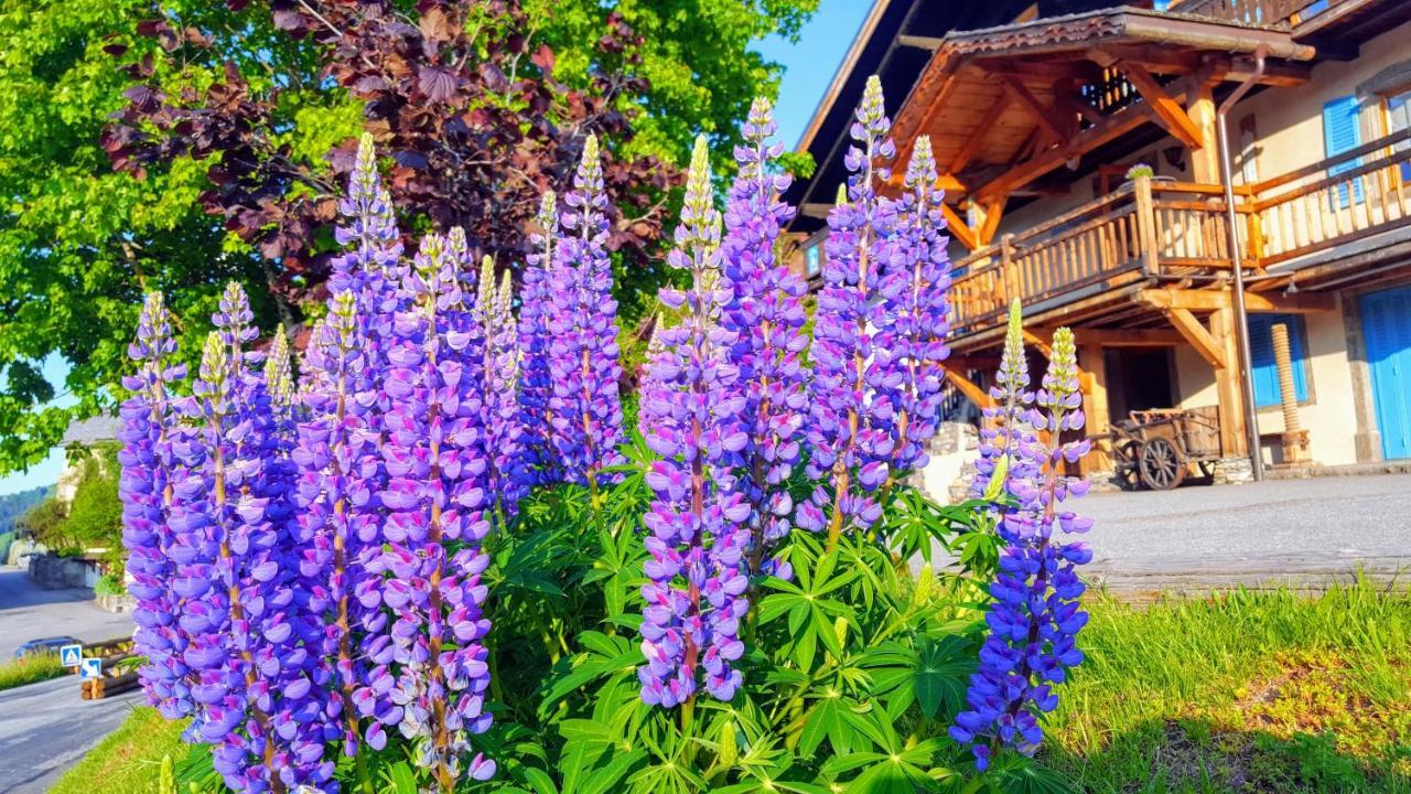 Chalet La Source Hotel Saint-Nicolas-la-Chapelle  Екстериор снимка